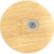 Bamboo